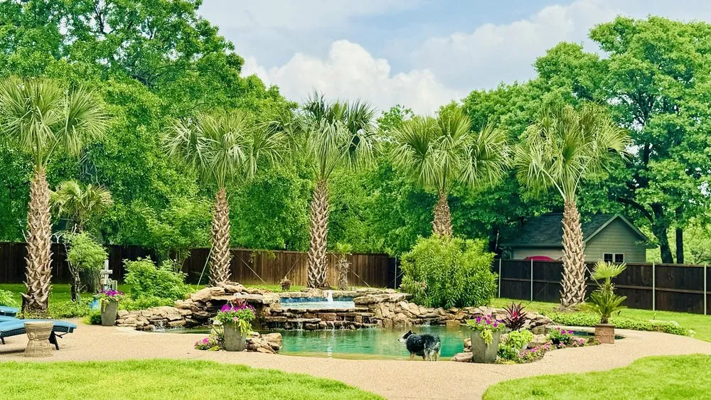Top-rated landscaping services experts serving Irving, TX - TWP