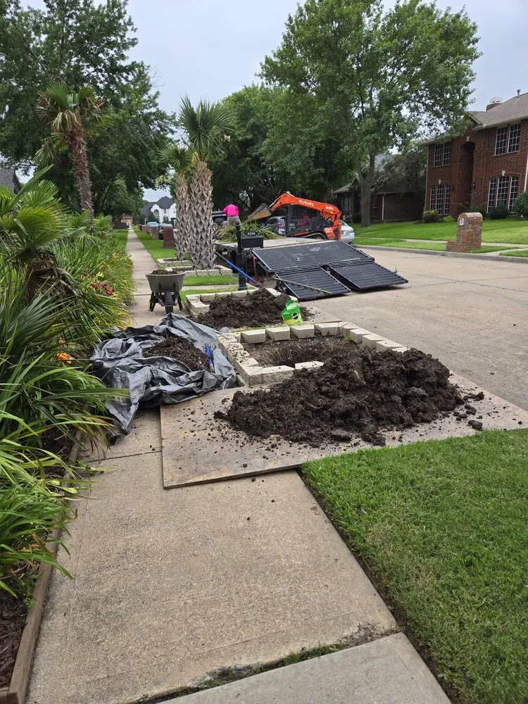 Top-rated lawn care service in Irving, TX by TWP