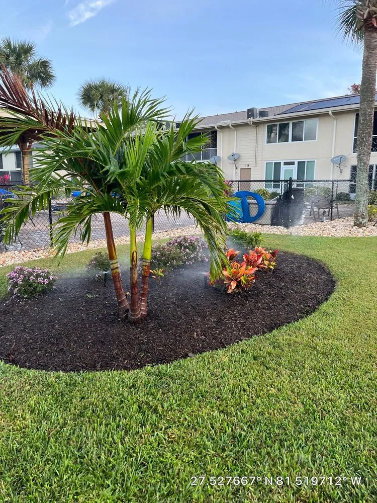 Top-rated outdoor landscaping near you across Lake Placid, FL - TWQ