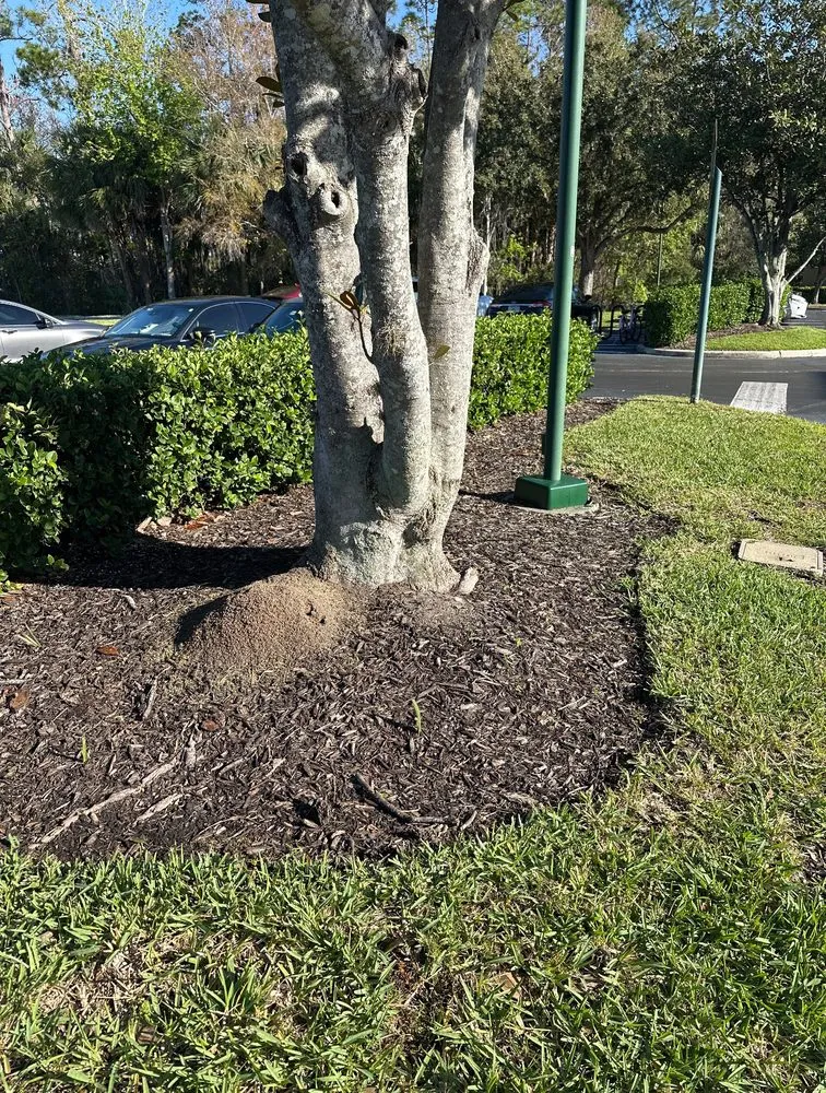 Top-rated outdoor landscaping in Lake Placid, FL by TWQ