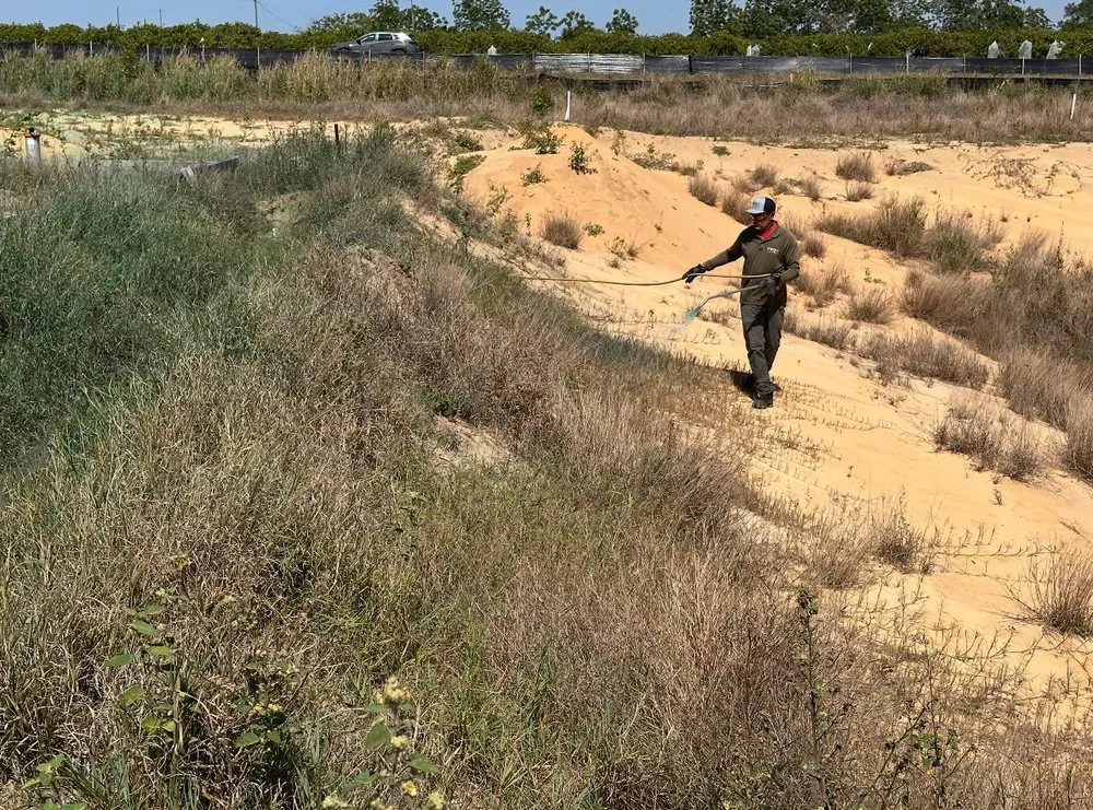 Local lawn care service near you in Lake Placid, FL by TWQ