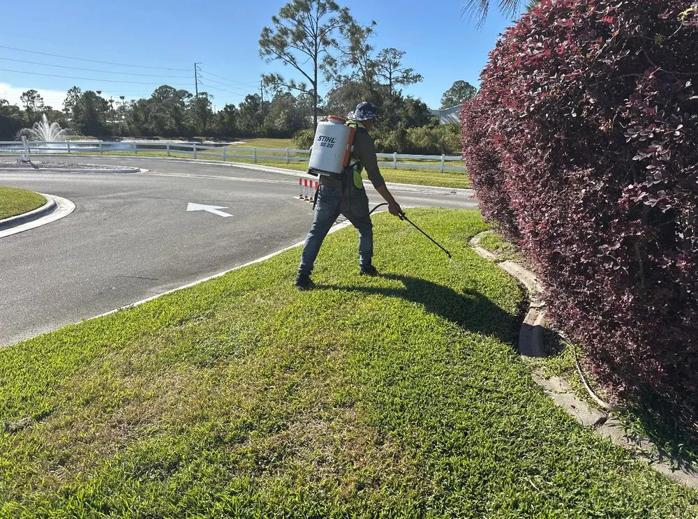Expert lawn care service experts serving Lake Placid, FL - TWQ
