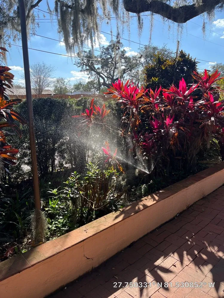 Local yard maintenance in Lake Placid, FL by TWQ