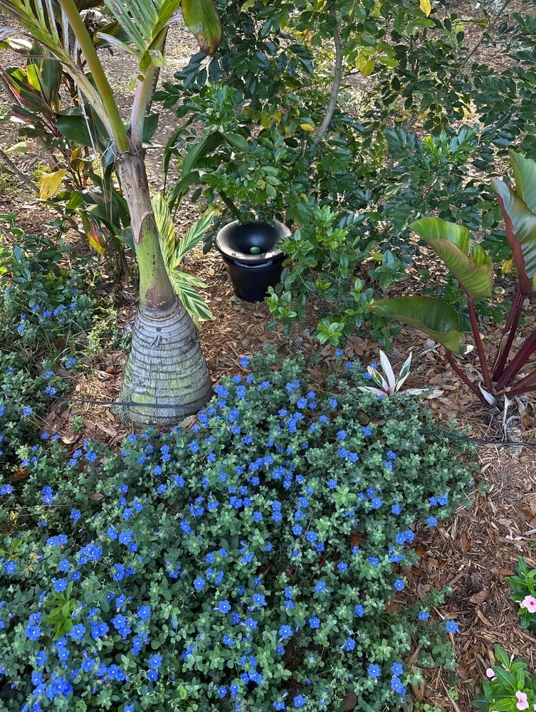 Custom yard maintenance experts serving Lake Placid, FL - TWQ