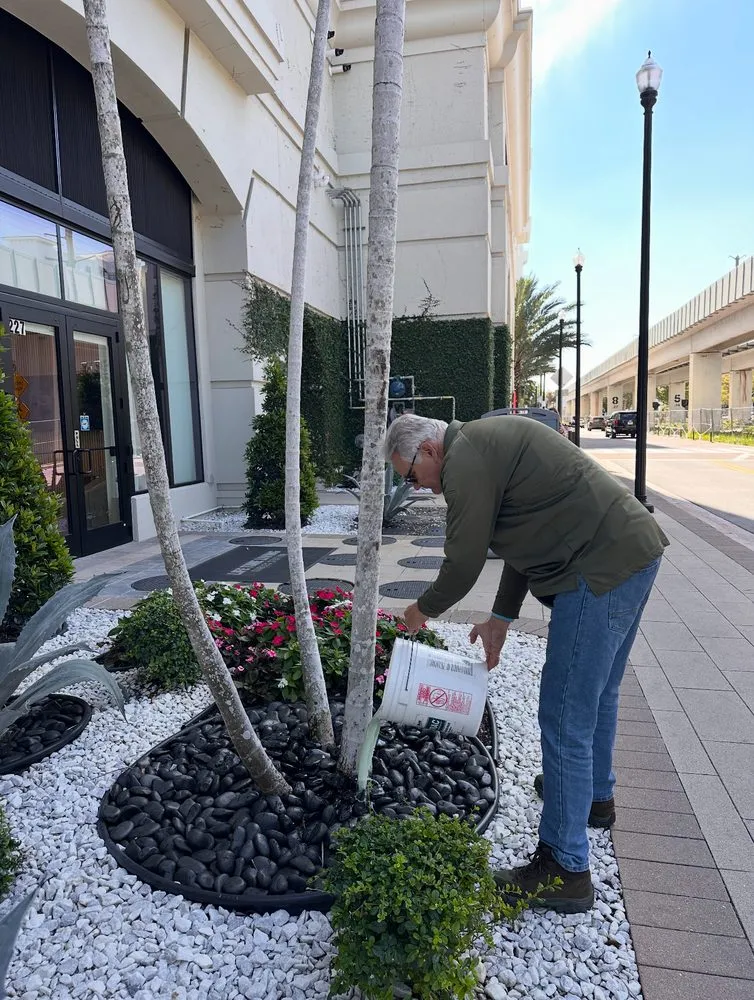 Reliable yard maintenance in Lake Placid, FL - TWQ