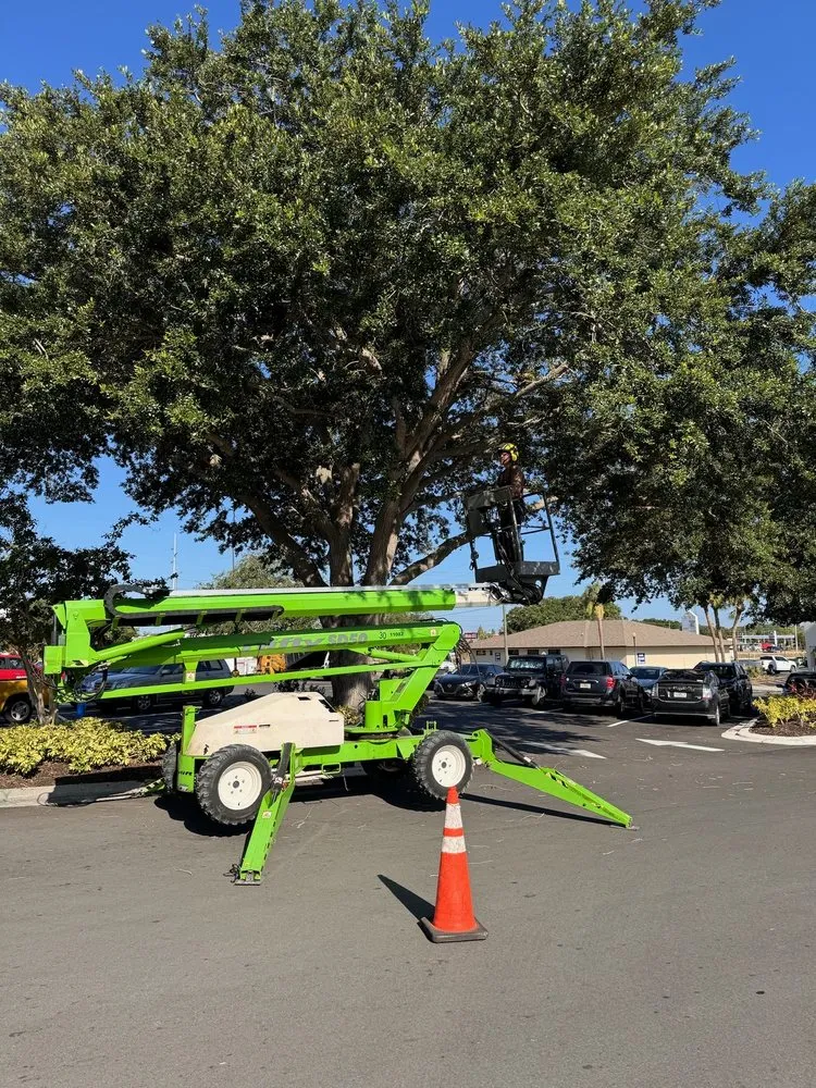 Top-rated yard maintenance experts serving Lake Placid, FL - TWQ