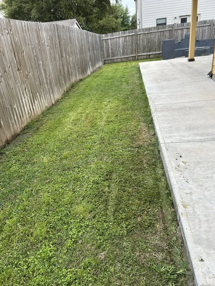 Reliable lawn care service in Kyle, TX by TW’s Lawn Care