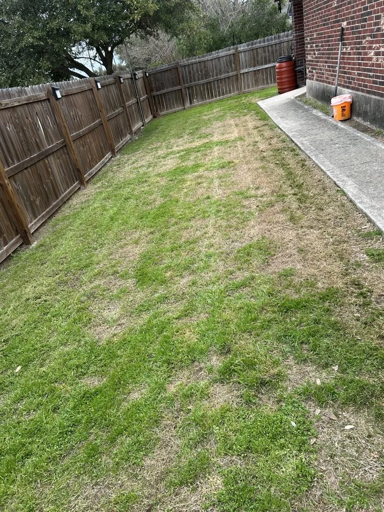 Custom yard cleanup service in Kyle, TX - TW’s Lawn Care