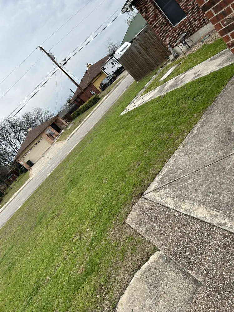 Affordable yard cleanup service with custom design in Kyle, TX by TW’s Lawn Care