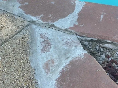 Expert landscaping services experts serving Red Oak, TX - TX Blue Line Construction