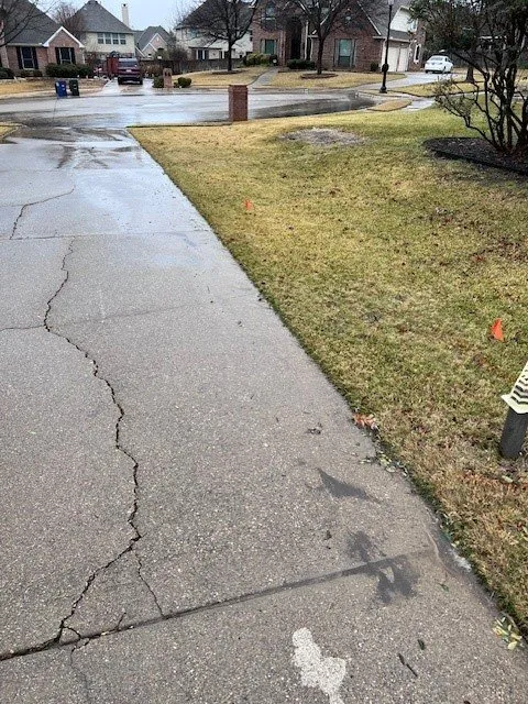 Reliable yard cleanup service for year-round maintenance across Red Oak, TX - TX Blue Line Construction