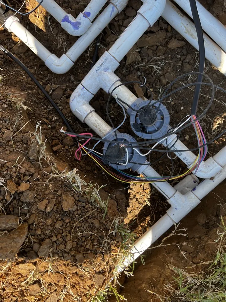 Top-rated yard cleanup service in Sherman, TX by TX Irrigation Repairs