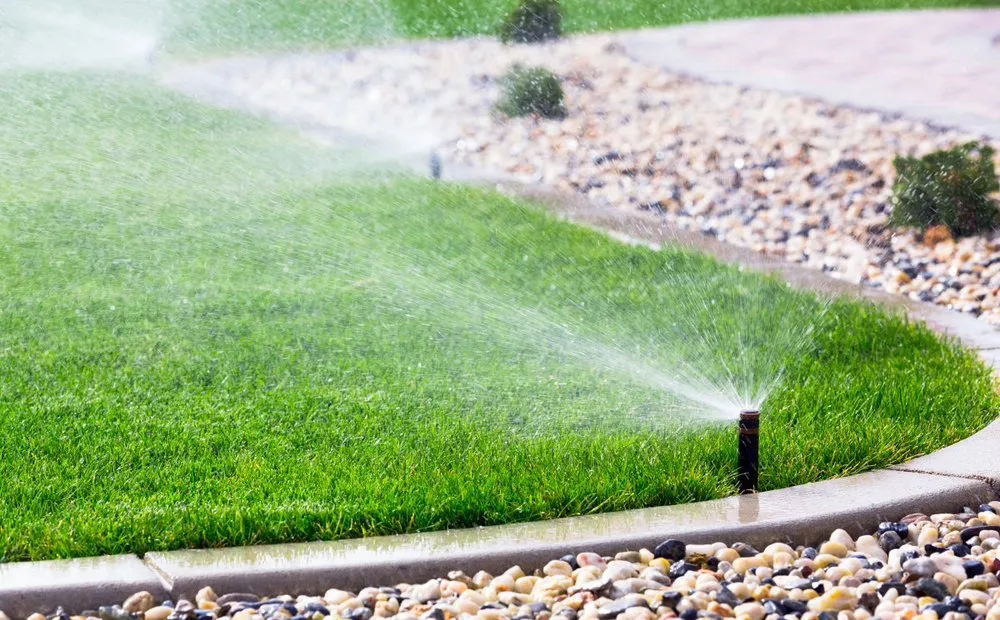Reliable yard maintenance for beautiful yards in Sherman, TX by TX Irrigation Repairs
