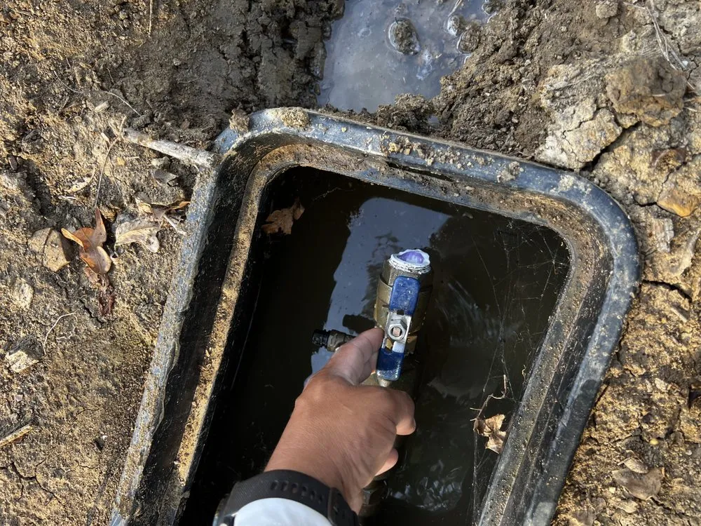 Expert yard cleanup service in Sherman, TX by TX Irrigation Repairs