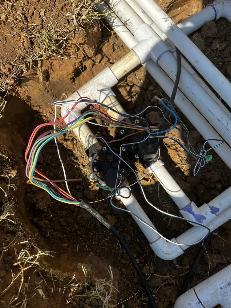 Professional landscape installation for outdoor upgrades across Sherman, TX - TX Irrigation Repairs