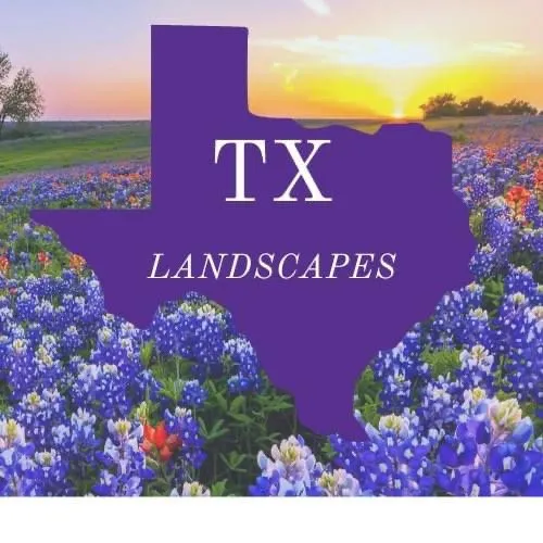 Affordable lawn care service in Granbury, TX - TX Landscapes