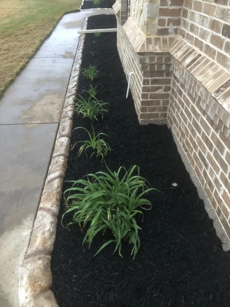 Local yard cleanup service near you across Granbury, TX - TX Landscapes