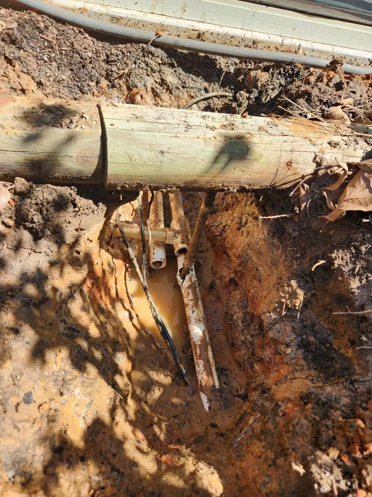 Affordable lawn mowing service for beautiful yards in Gladewater, TX by TX Mile Services