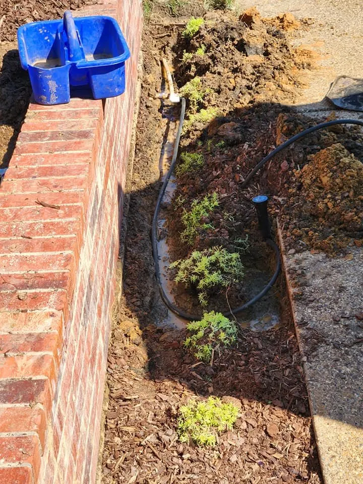 Trusted yard cleanup service in Gladewater, TX - TX Mile Services