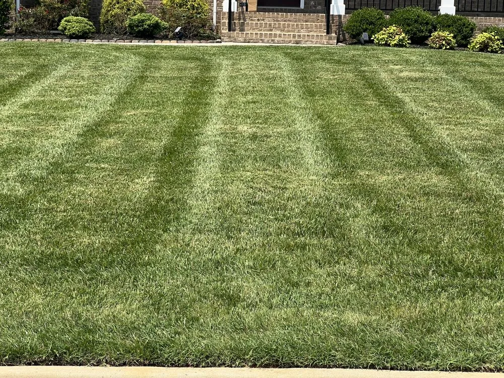 Top-rated residential landscaping in Chesterfield, VA - TX3 Lawn & Landscape