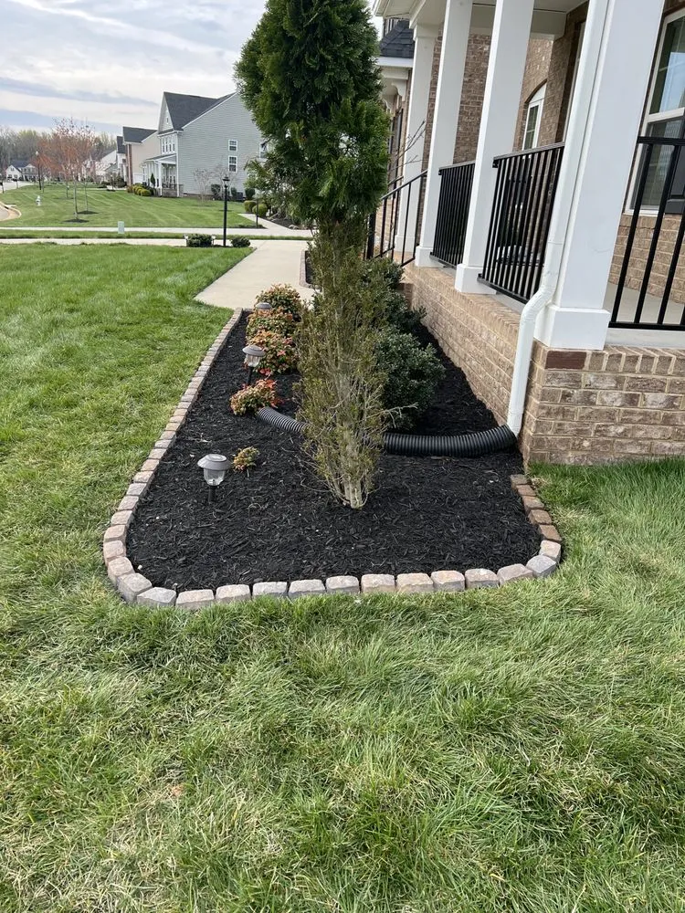 Professional lawn care service in Chesterfield, VA - TX3 Lawn & Landscape