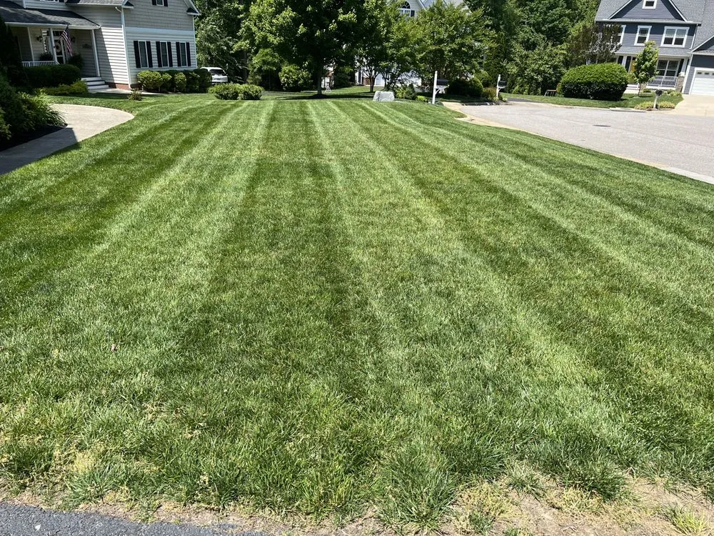 Top-rated landscaping services in Chesterfield, VA - TX3 Lawn & Landscape