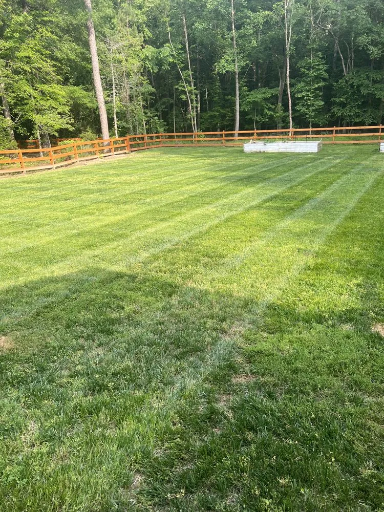 Professional landscape installation in Chesterfield, VA by TX3 Lawn & Landscape