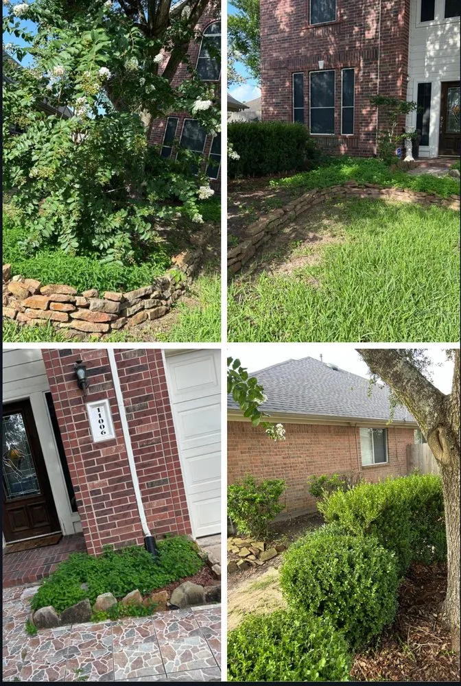 Custom yard cleanup service experts serving Pasadena, TX - TXC Outdoor Services