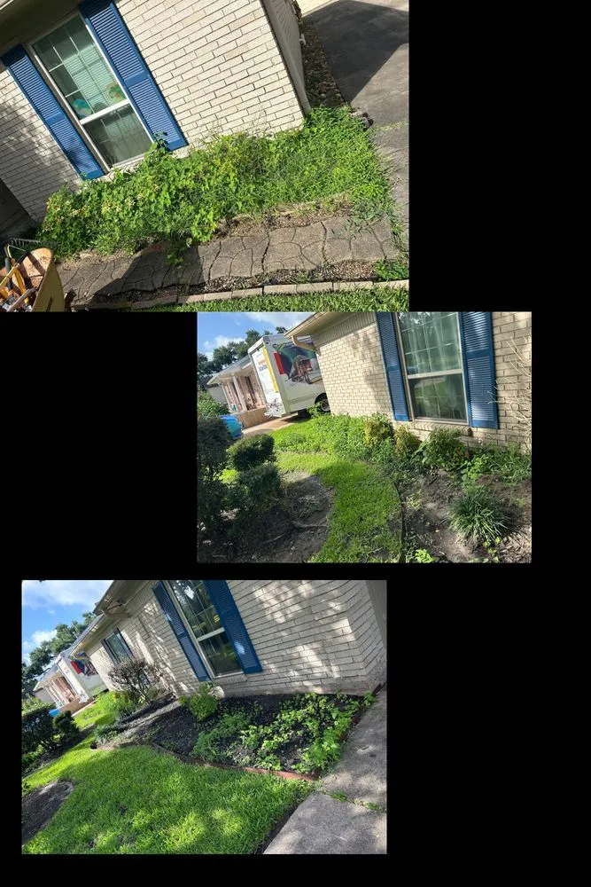 Professional lawn care service in Pasadena, TX by TXC Outdoor Services