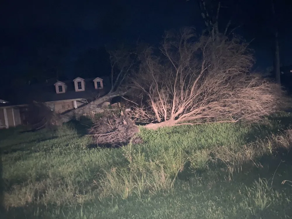 Affordable lawn care service in Pasadena, TX - TXC Outdoor Services