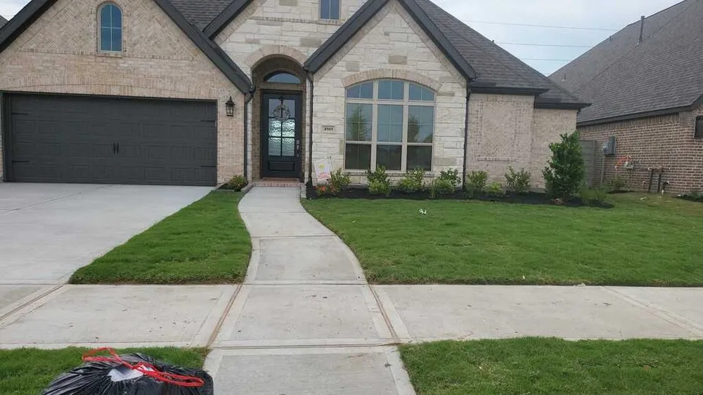 Reliable yard cleanup service in Houston, TX - TXL