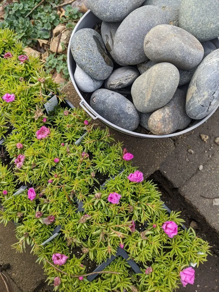 Professional residential landscaping with custom design in Iowa City, IA by Ty-Guy's Total Care