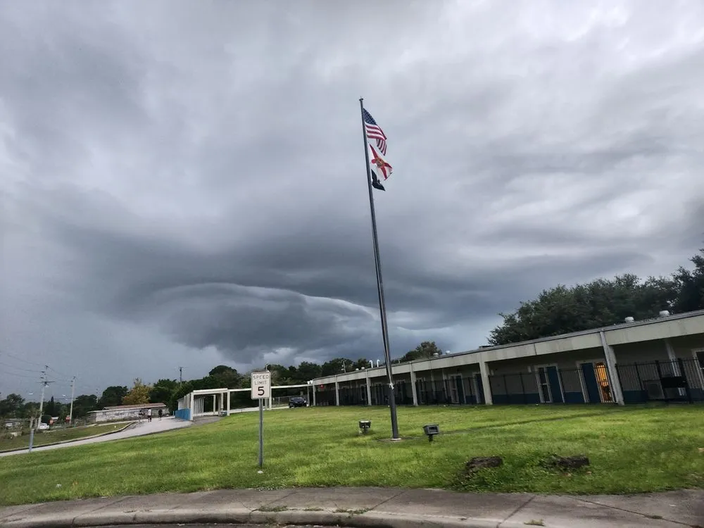 Affordable outdoor landscaping for beautiful yards in Daytona Beach, FL by Ty Lawn Care