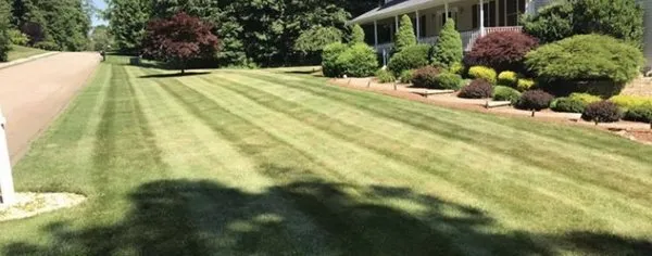 Ty Mello Landscaping