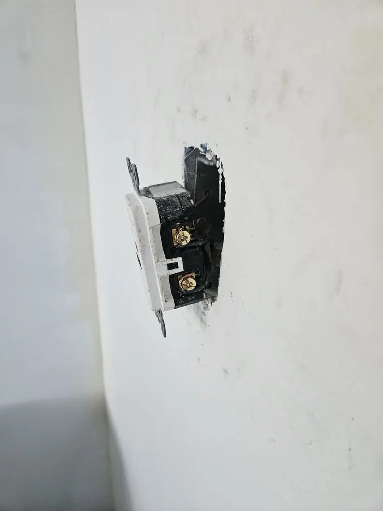 Trusted yard cleanup service in Edgewater, CO - TYC All Trades