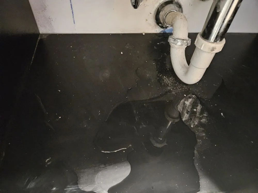 Professional yard maintenance in Edgewater, CO by TYC All Trades