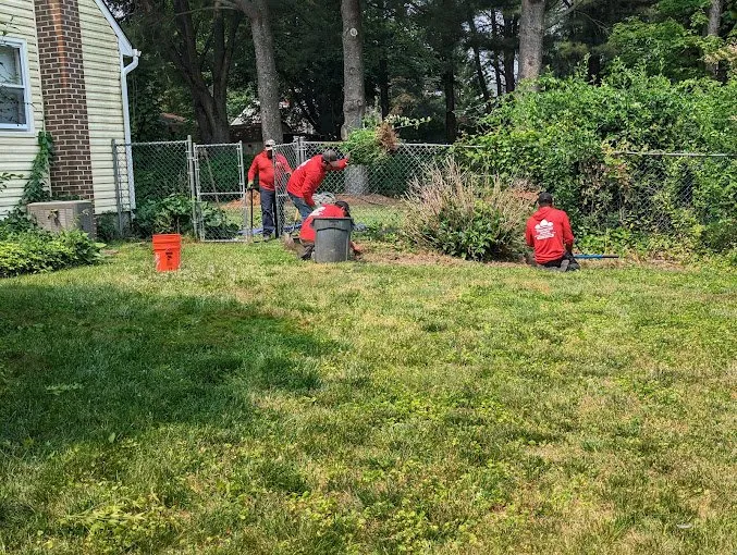 Reliable yard cleanup service in Eldersburg, MD by Tycoon Solutions Landscaping