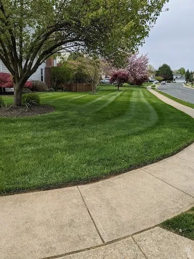 Expert garden landscaping in Eldersburg, MD by Tycoon Solutions Landscaping