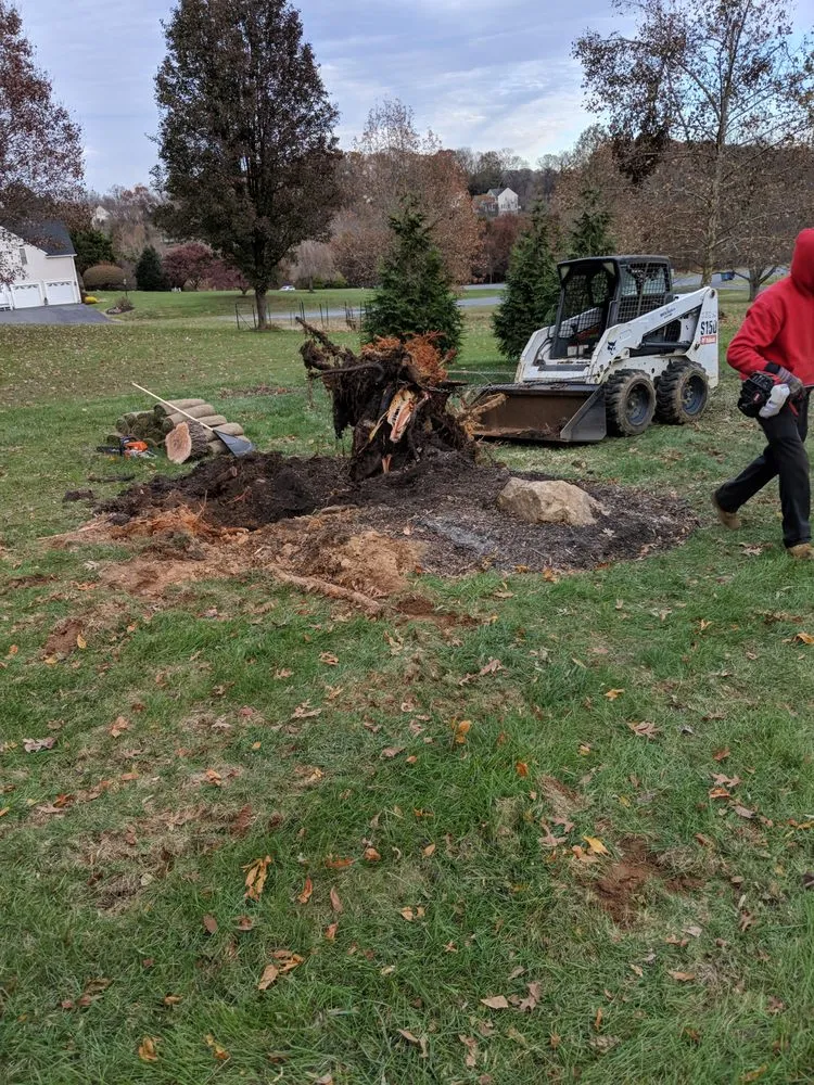 Reliable landscaping services in Eldersburg, MD by Tycoon Solutions Landscaping