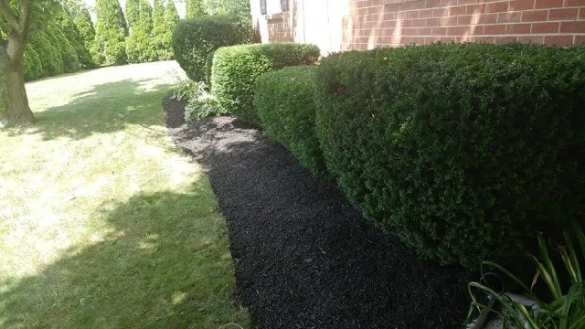 Trusted landscaping services for residential properties in Eldersburg, MD by Tycoon Solutions Landscaping