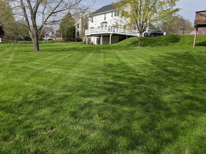 Affordable lawn care service in Eldersburg, MD by Tycoon Solutions Landscaping