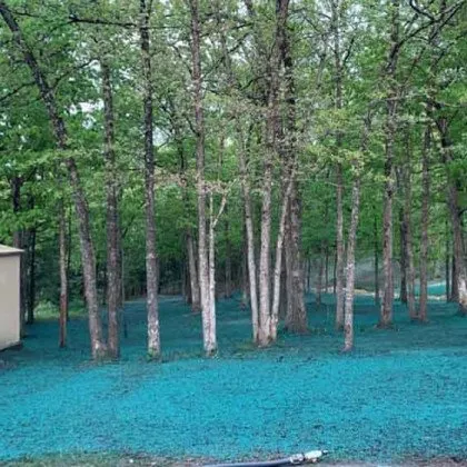 Affordable lawn mowing service in Clever, MO - Tyco's Hydroseeding & Excavation