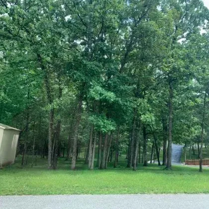 Custom lawn care service in Clever, MO by Tyco's Hydroseeding & Excavation