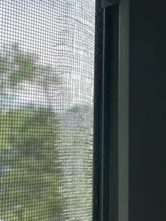 Professional lawn care service in Tuckahoe, VA by Tyda Property Maintenance And Landscaping