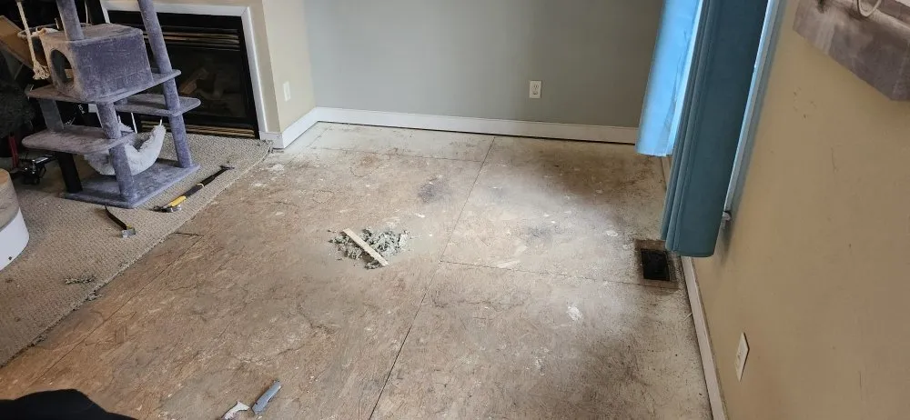 Reliable lawn mowing service in Tuckahoe, VA - Tyda Property Maintenance And Landscaping