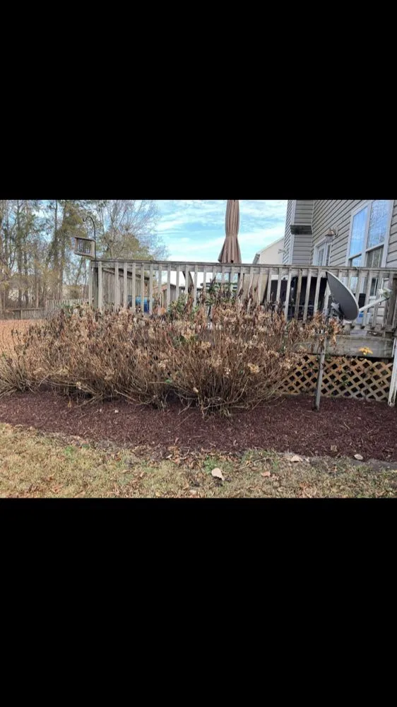 Trusted landscape installation in Richlands, NC - Tyde Tough