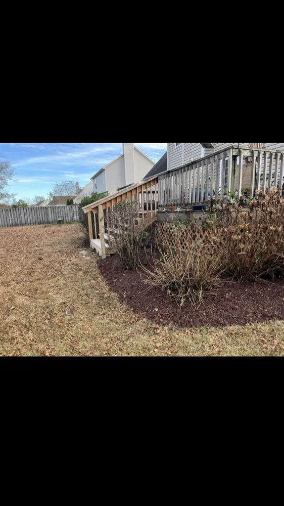 Affordable yard cleanup service for beautiful yards across Richlands, NC - Tyde Tough