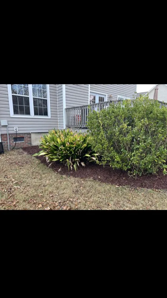Local residential landscaping for homes in Richlands, NC by Tyde Tough