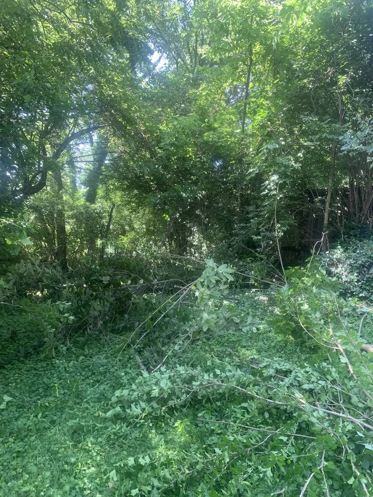 Expert landscape installation for residential properties across Franklin, OH - Tye's Cutting Edge