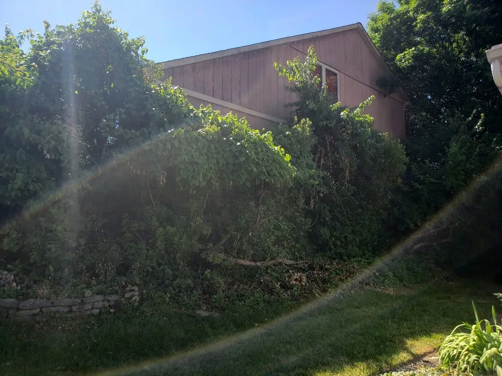 Trusted landscaping services for beautiful yards across Franklin, OH - Tye's Cutting Edge